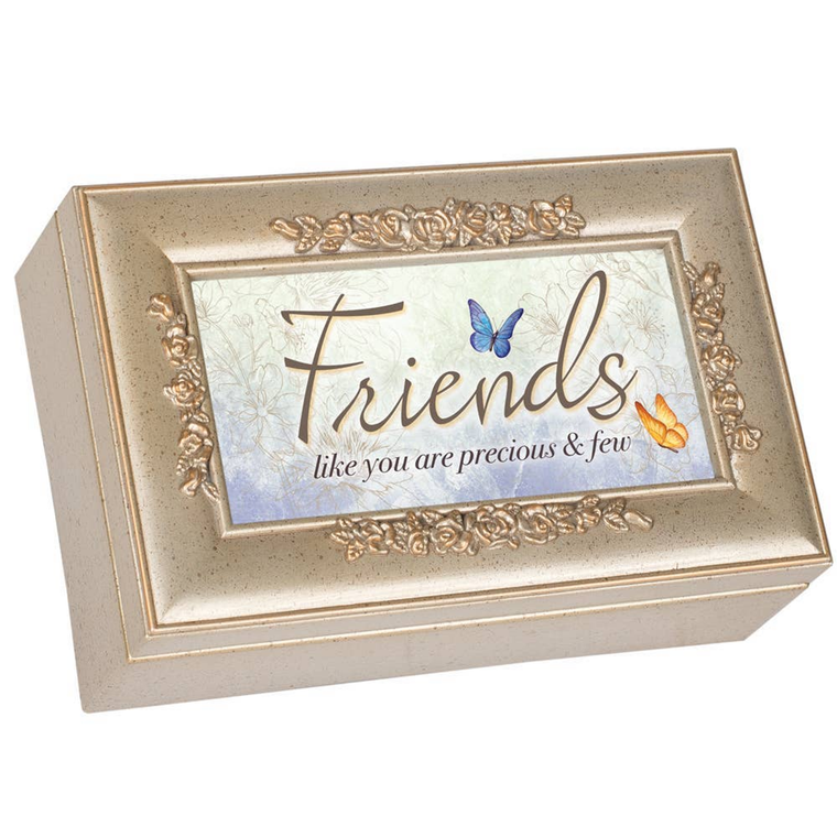 Friends Like You Are Precious