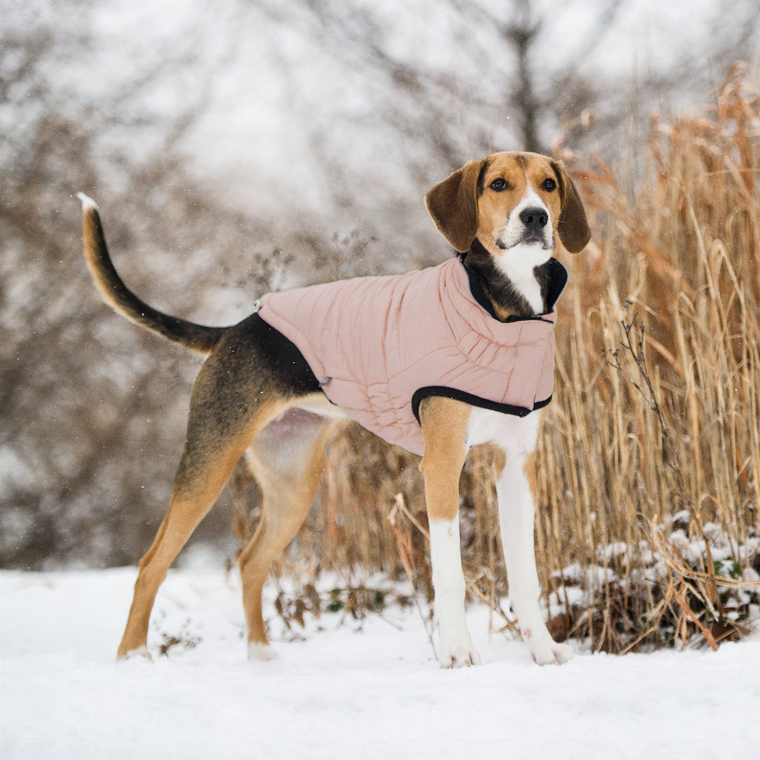 GF Pet Reversible Elasto-Fit Chalet Jacket