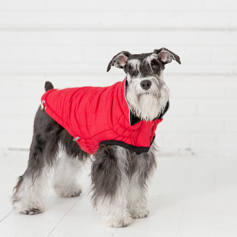 GF Pet Reversible ElastoFit Chalet Jacket