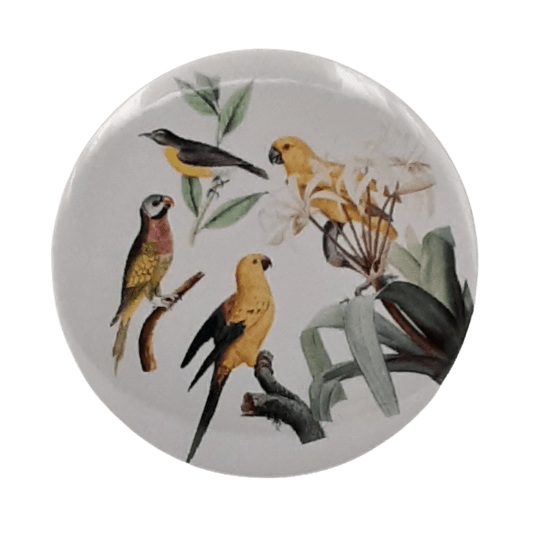 Birds