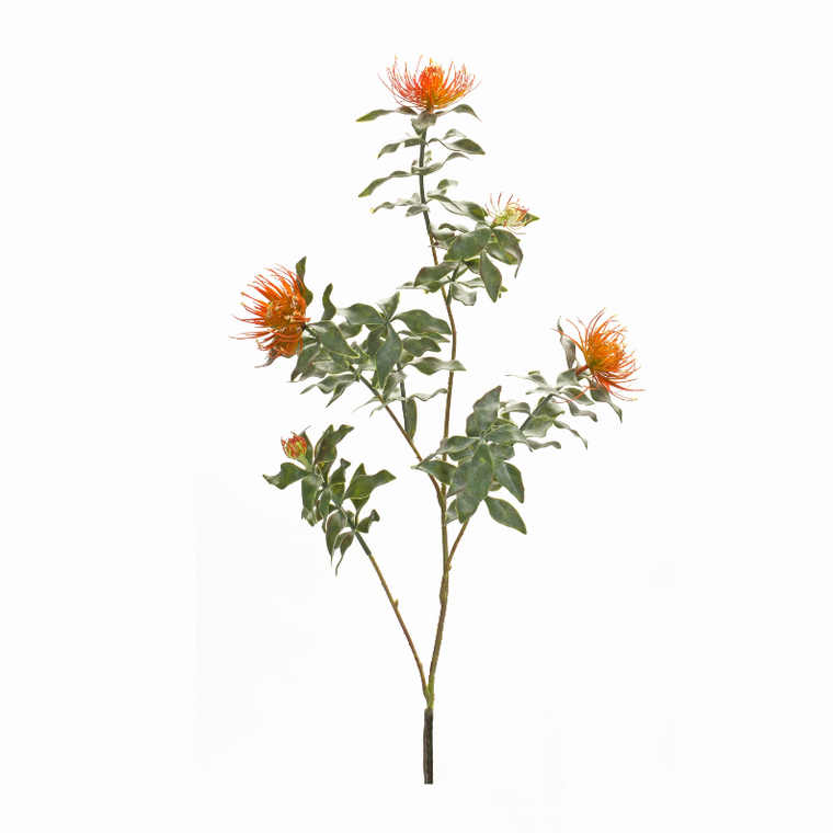 Protea Stem (Set of 6) 34.25"H Plastic/Flocking