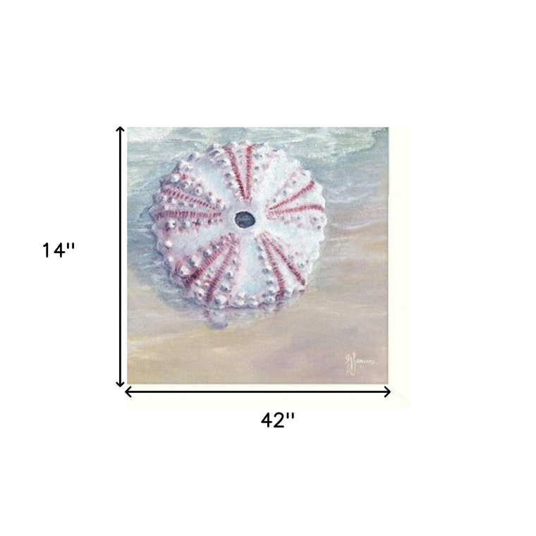 Set Of Three Shells I White Framed Print Wall Art - 606114042716