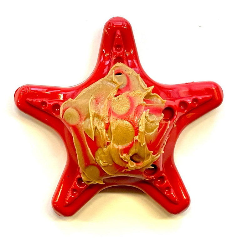 Starfish Ultra Durable Nylon Dog Chew Toy for Aggressive Chewers