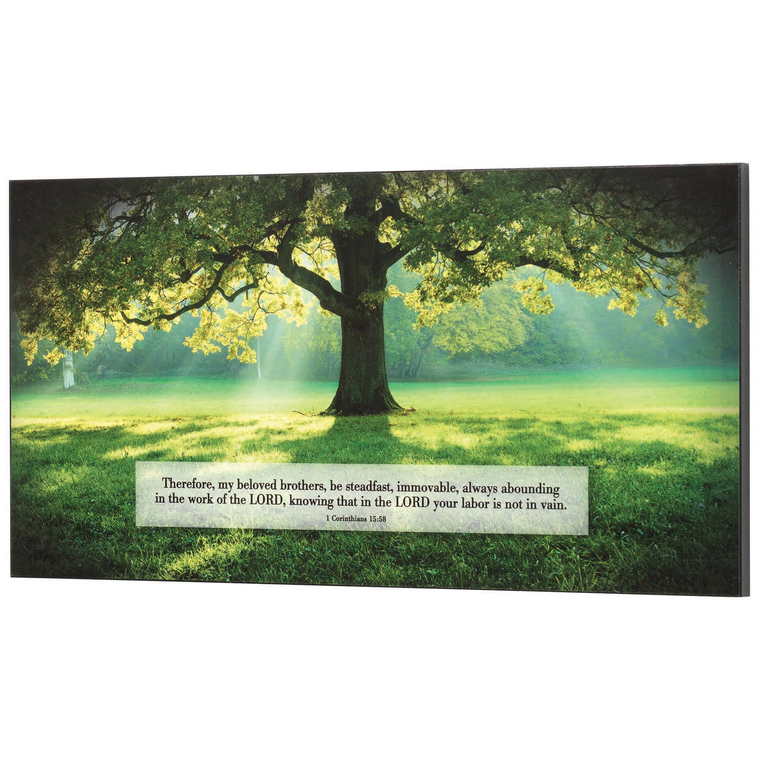 Wall Plaque Be Steadfast And Immovable