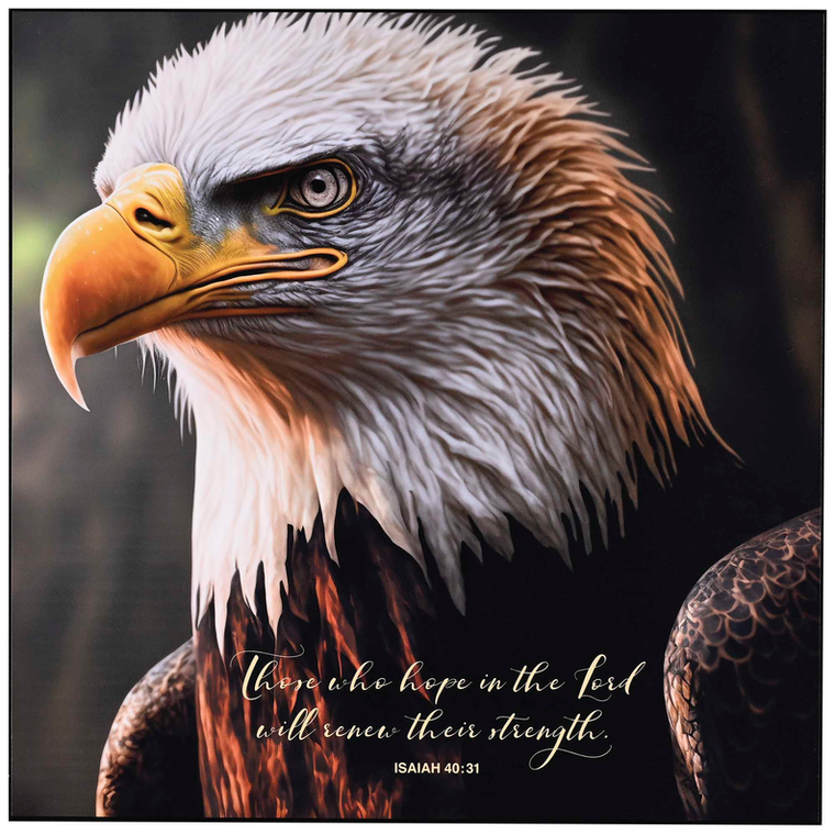 Wall Plaque Those Who Hope In The Lord