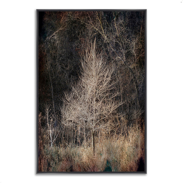 Illumination 6 Black Wrapped Canvas Print Wall Art - 606114232438