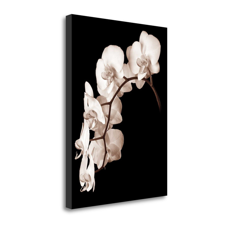Orchid Dance II Wrapped Canvas Print Living Room Wall Art - 606114225591