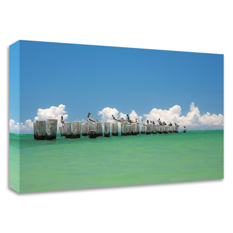 "Gull Conference" Wrapped Canvas Print Wall Art - 606114549499