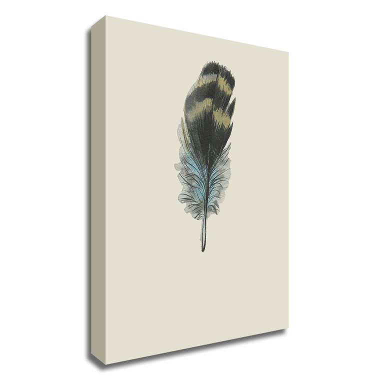 "Feather 03" Wrapped Canvas Print Wall Art - 606114521136