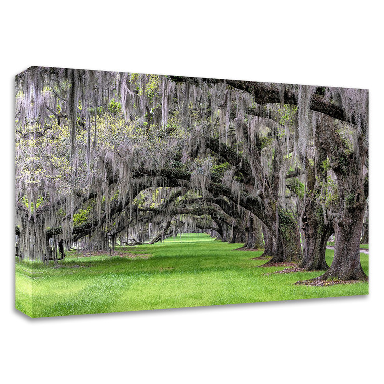 "Hanging To The Left" Wrapped Canvas Print Wall Art - 606114496229