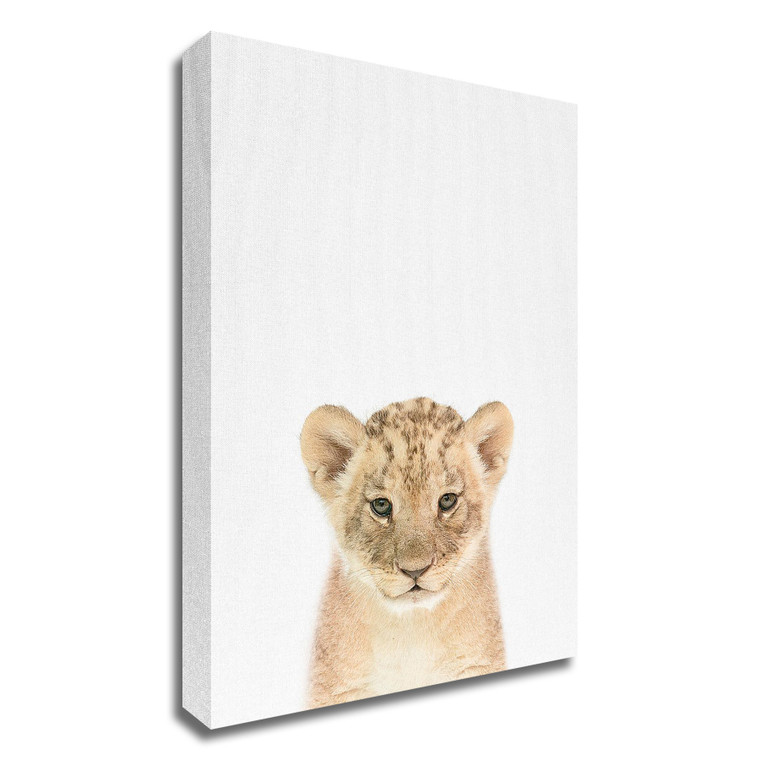 "Baby Lion" Wrapped Canvas Print Wall Art - 606114546443
