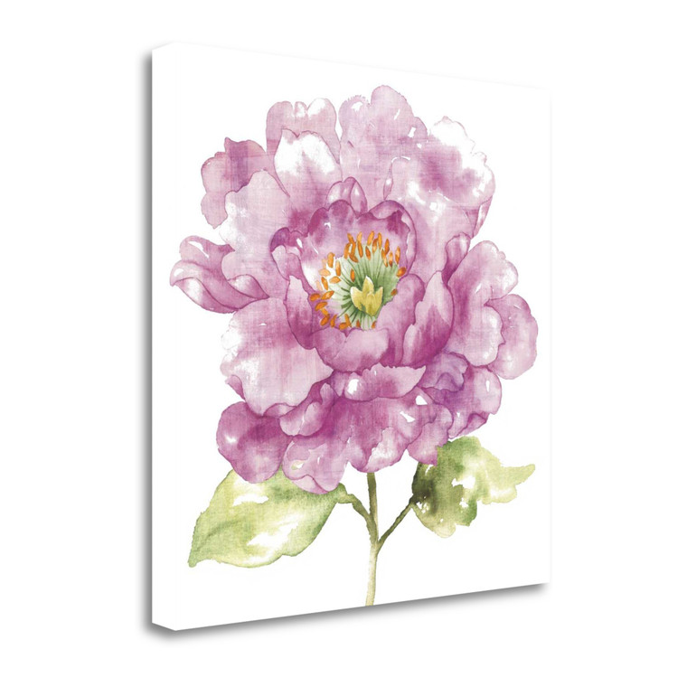 Water Flower I Wrapped Canvas Print Living Room Wall Art - 606114431428