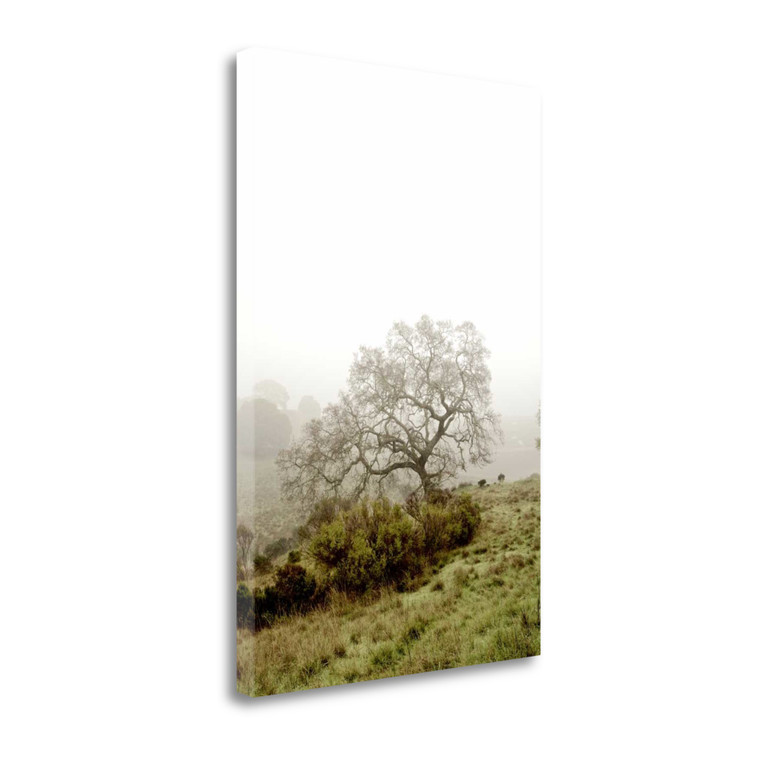 Oak Tree 43 Wrapped Canvas Print Living Room Wall Art - 606114286578