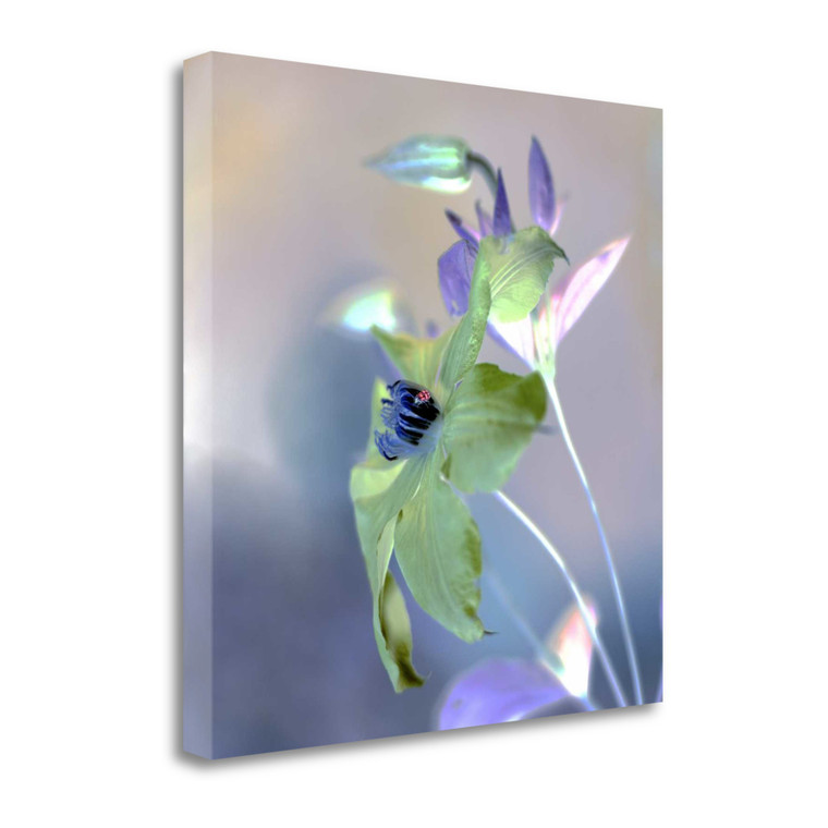 Floral Color 9 Wrapped Canvas Print Living Room Wall Art - 606114266303
