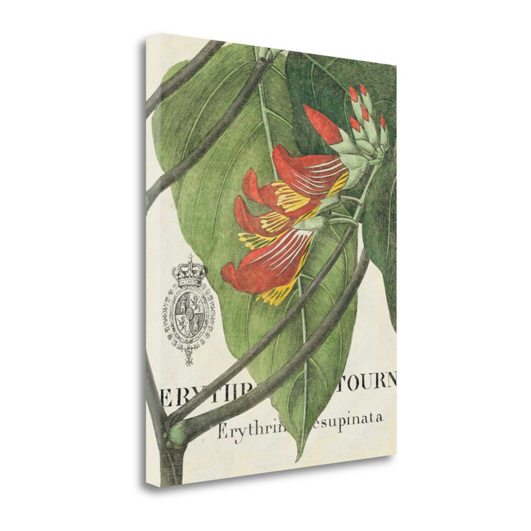 Rectangle Canvas U.S. States And Territories No Season No Holiday By Wild Apple Portfolio - 606114400776