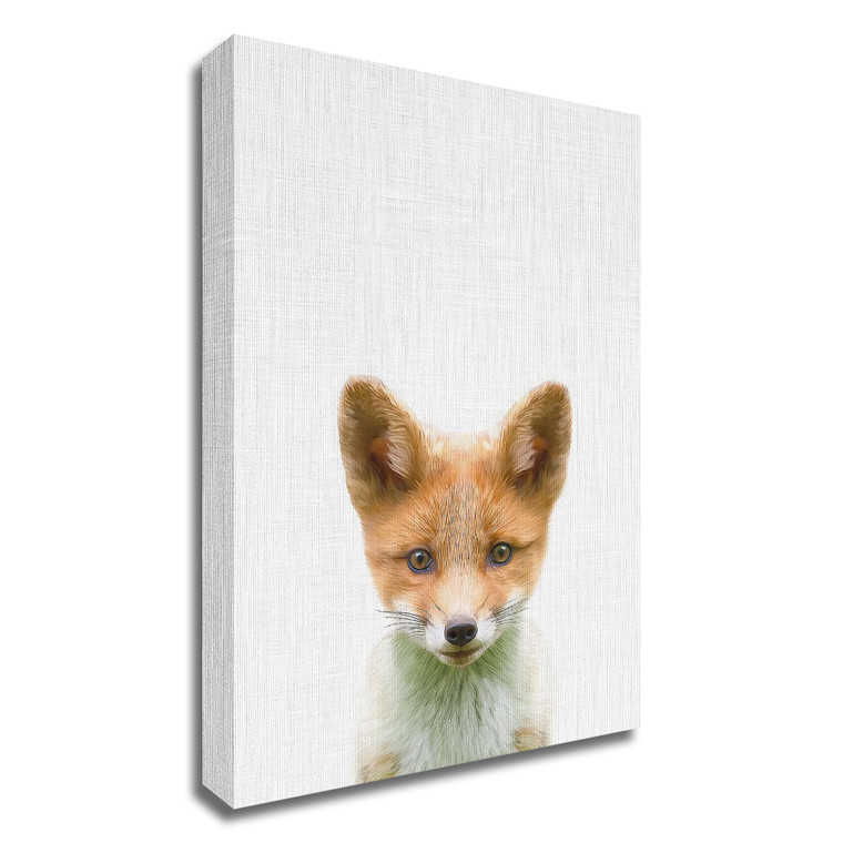 "Baby Fox" Wrapped Canvas Print Wall Art - 606114546405