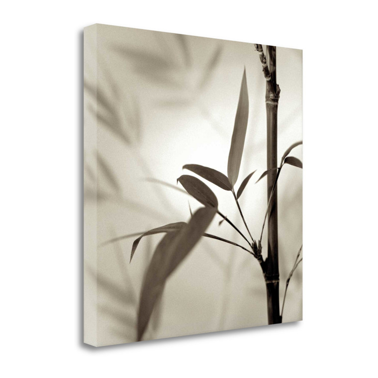 Florison 64 Wrapped Canvas Print Wall Art - 606114263692