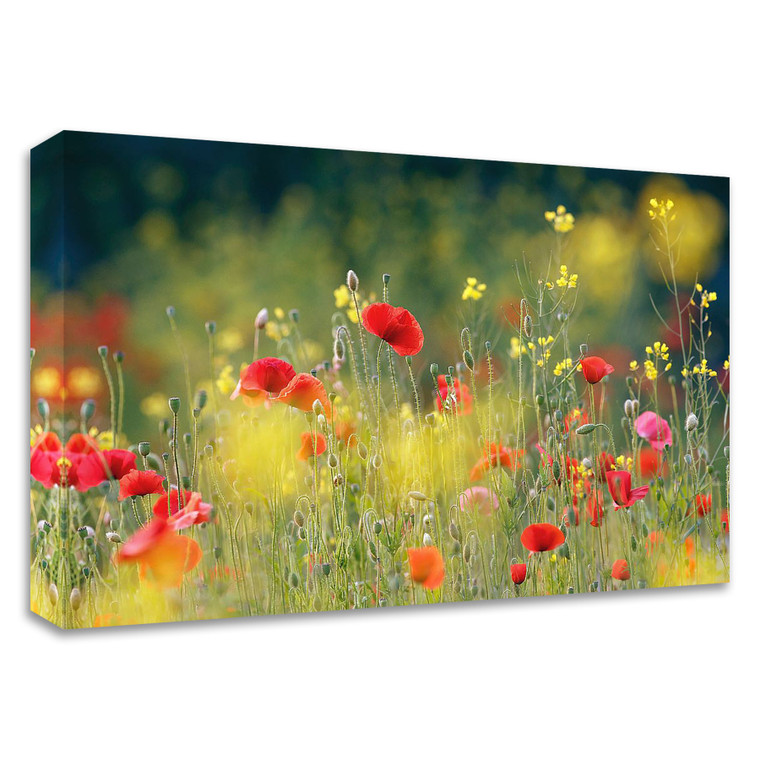 "Just A Perfect Day" Wrapped Canvas Print Wall Art - 606114535560