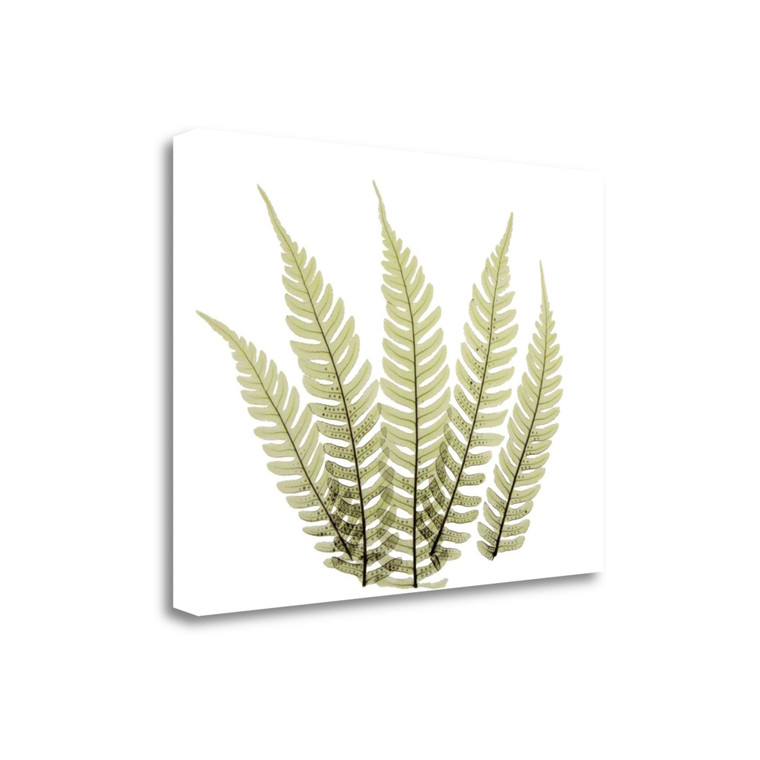 Woodlands II Wrapped Canvas Print Living Room Wall Art - 606114197119