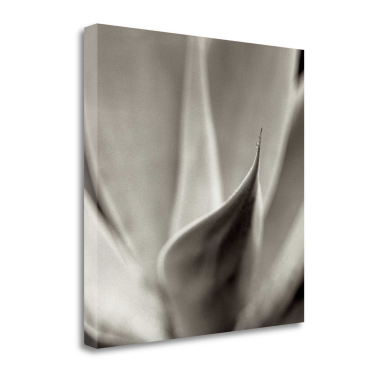 Florison 42 Wrapped Canvas Print Wall Art - 606114264293