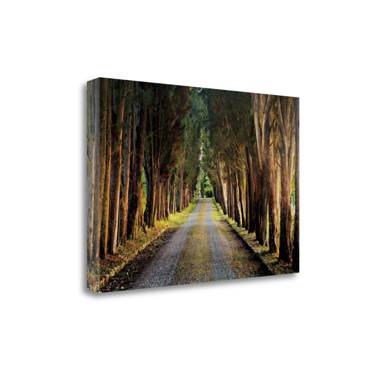 Tree Tunnel 3 Wrapped Canvas Print Wall Art - 606114254829