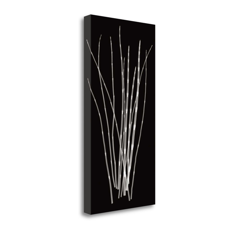Three Rushes 1 Wrapped Canvas Print Wall Art - 606114165521