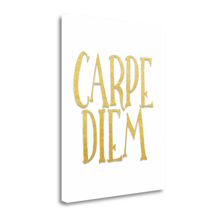 Carpe Diem 1 Wrapped Canvas Print Living Room Wall Art - 606114393467
