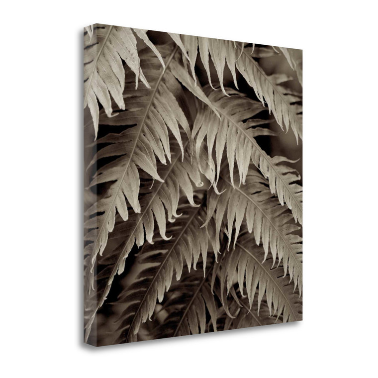 Florison 51 Wrapped Canvas Print Wall Art - 606114264040