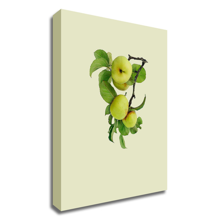 "Apple Tree I" Wrapped Canvas Print Kitchen Wall Art - 606114519461