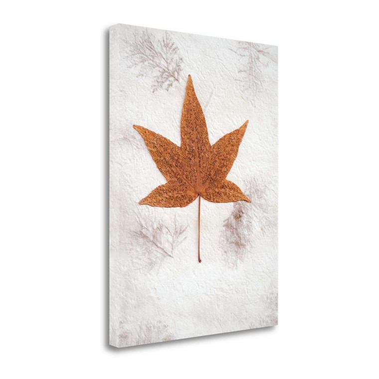 Floral 26 Wrapped Canvas Print Living Room Wall Art - 606114278979