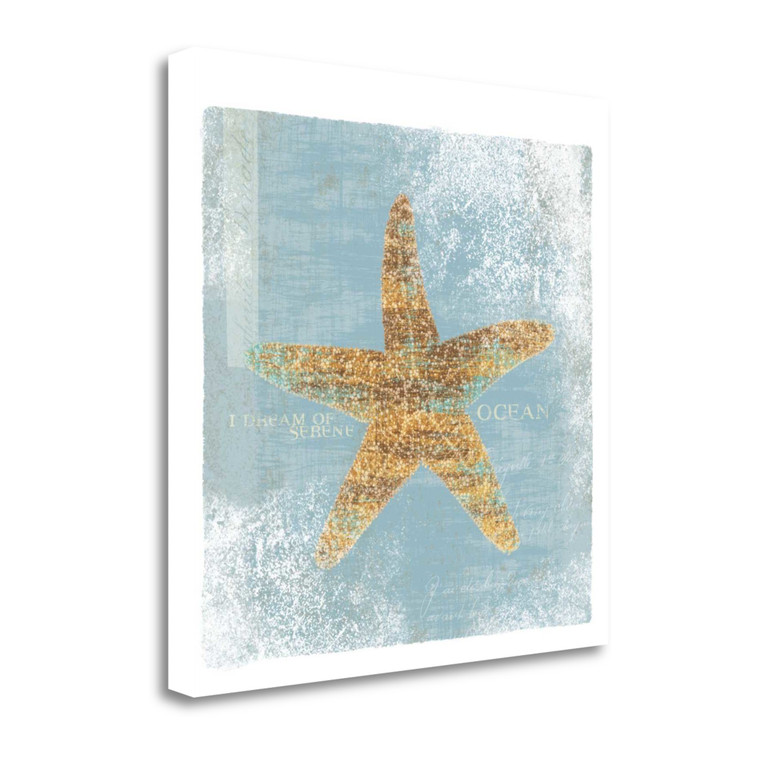 Serene Ocean Wag 1 Wrapped Canvas Print Living Room Wall Art - 606114649007