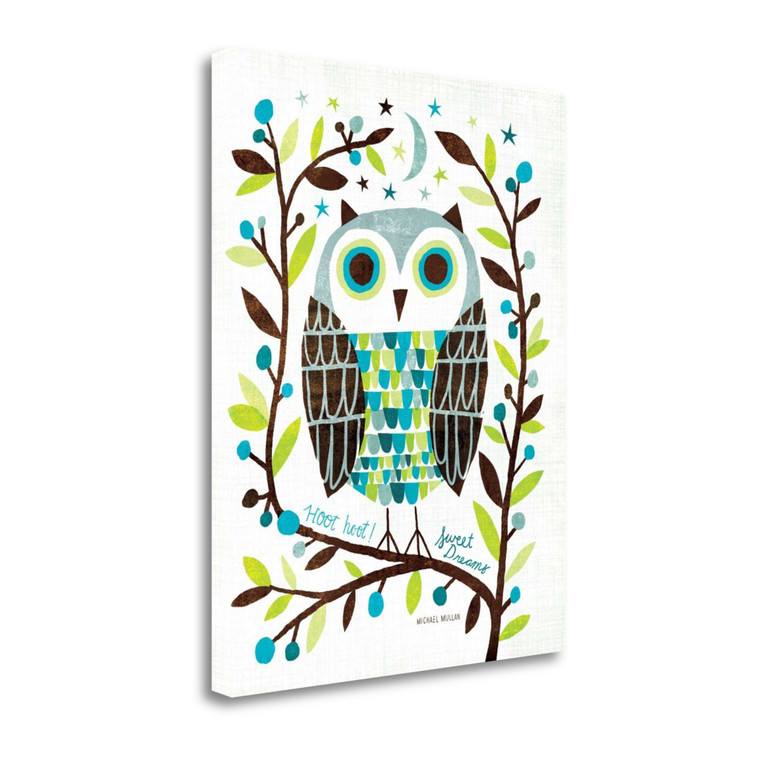Night Owl I Wrapped Canvas Print Living Room Wall Art - 606114420026