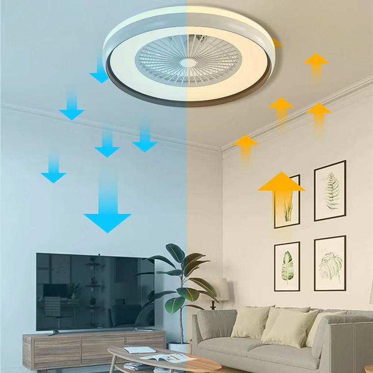 Minimalist LED Light With Ceiling Fan - 606114607984