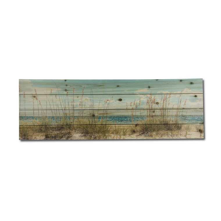 36" Long Ocean Sand Dunes Wood Plank Wall Art - 808230099449