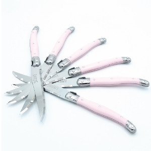 Jean Dubost 6 Steak Knives Pink Handles in Block