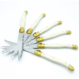  Jean Dubost 6 Steak Knives in Wooden Block, Ivory: Steak Knife  Sets: Home & Kitchen