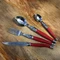 Jean Dubost 24 Pc Everyday Flatware Set with Red Handles in a tray