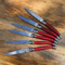 Jean Dubost 6 Steak Knives with Red Handles in Tray