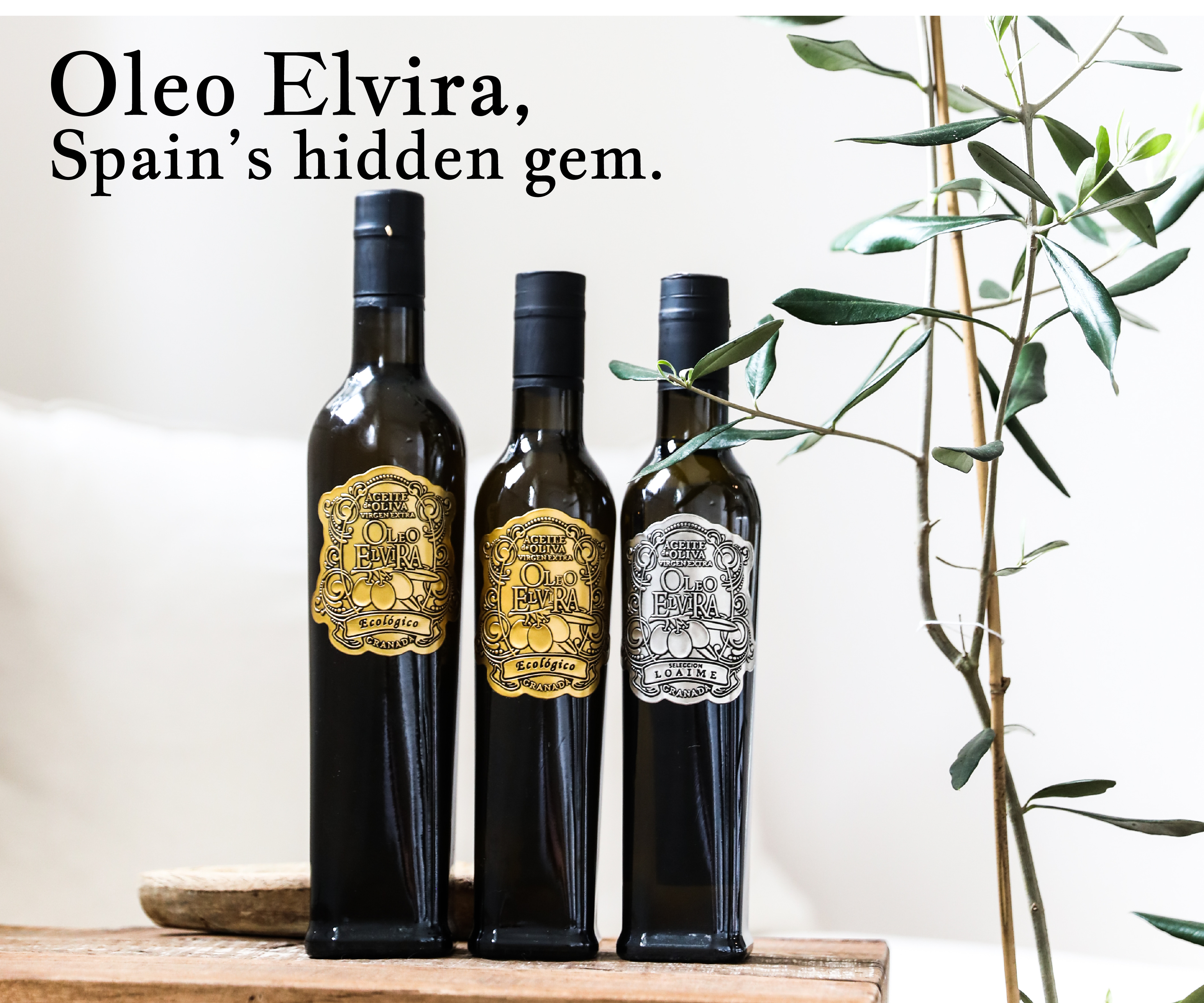 Explore Elvira's rich history in Granada, dating back to the Turduli tribe and evolving through centuries with its unique olive trees.