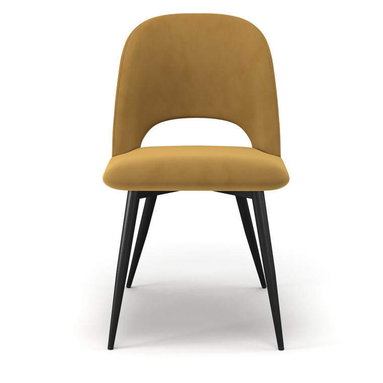 Vincent Velvet Side Chair | Set of 2