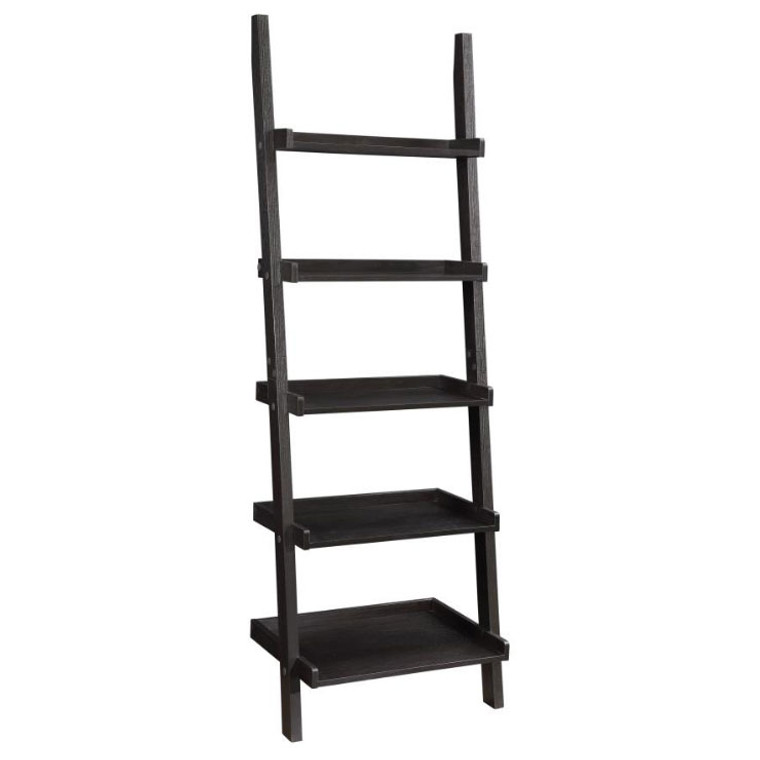 Kelly Ladder Shelf