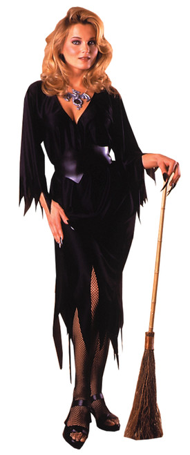 Rubie's Women's Bewitching Witch Costume