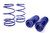 07-14 SVT Must Lowering Spring Kit
