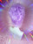 Ready 2 SHIP! - "LavenDazed!" - lush pastel lavender in cutesy and demure fluffy updo