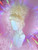 Ready 2 SHIP HAPPY PRIDE sale! - "Platinum Pamela!" - flirty platinum messy updo with soft fringe.