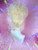 Ready 2 SHIP HAPPY PRIDE sale! - "Platinum Pamela!" - flirty platinum messy updo with soft fringe.