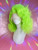 Ready 2 Ship Insta SALE  - "Green with Envy" - Big fluffy neon green blowout. 