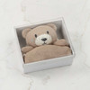 Bobbi the Bear Lovie Baby Gift Basket- in gift box