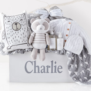 Unique and Adorable Newborn Baby Gift Basket Ideas! 