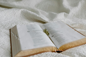 Finding Comfort in Scripture: Bible Verses for Coping with Loss